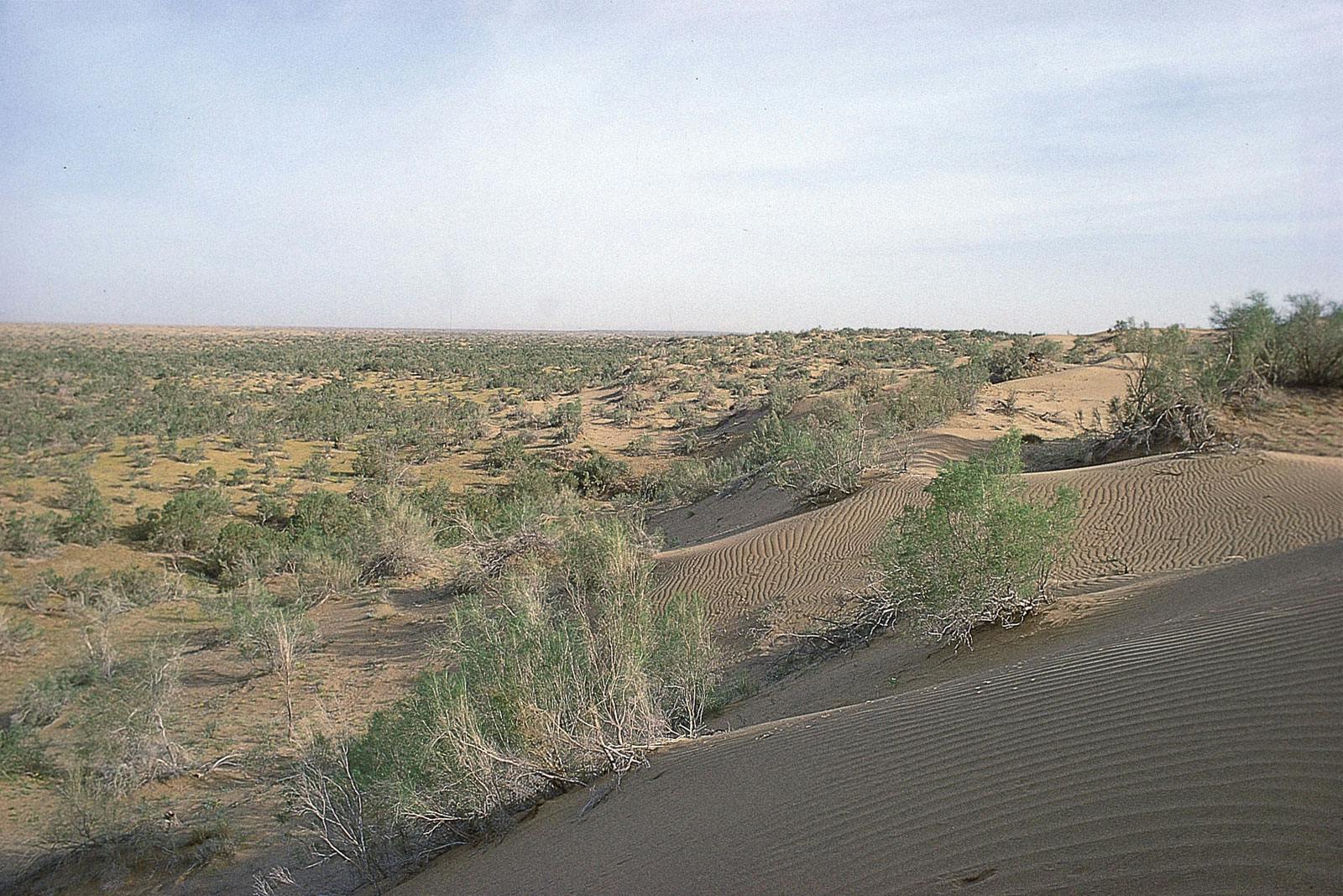 central-asian-southern-desert-one-earth